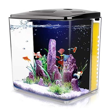 Best Starter Fish Tanks 2024: Aquariums For Beginners.